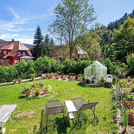 Villa Sonnenwinkel Тодтмос Екстериор снимка